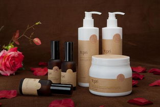 Topri加盟模式解析 把握美发服务市场新机遇